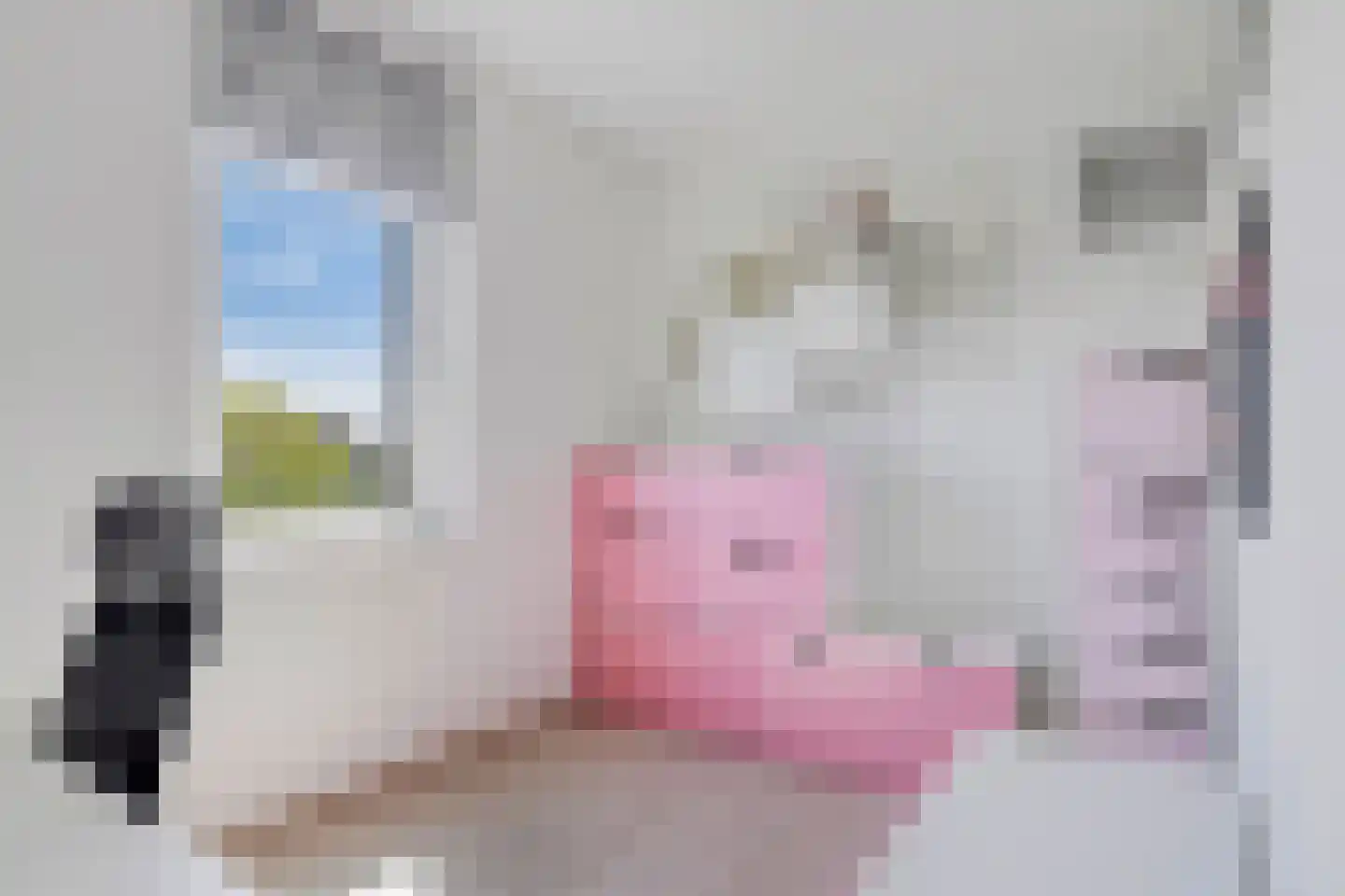de Waterkuil 12 Ewijk thumbnail 24