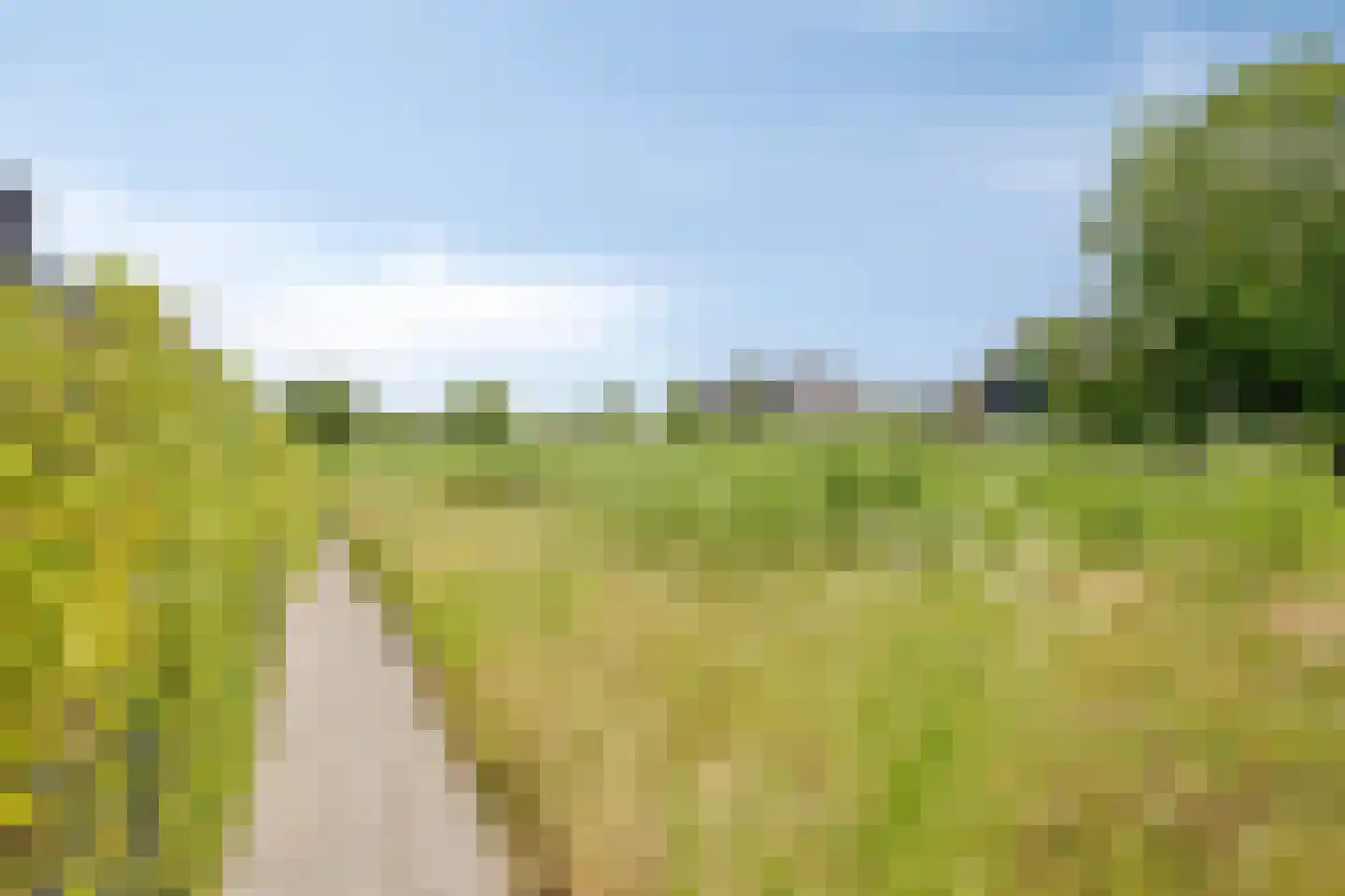 de Waterkuil 12 Ewijk thumbnail 38