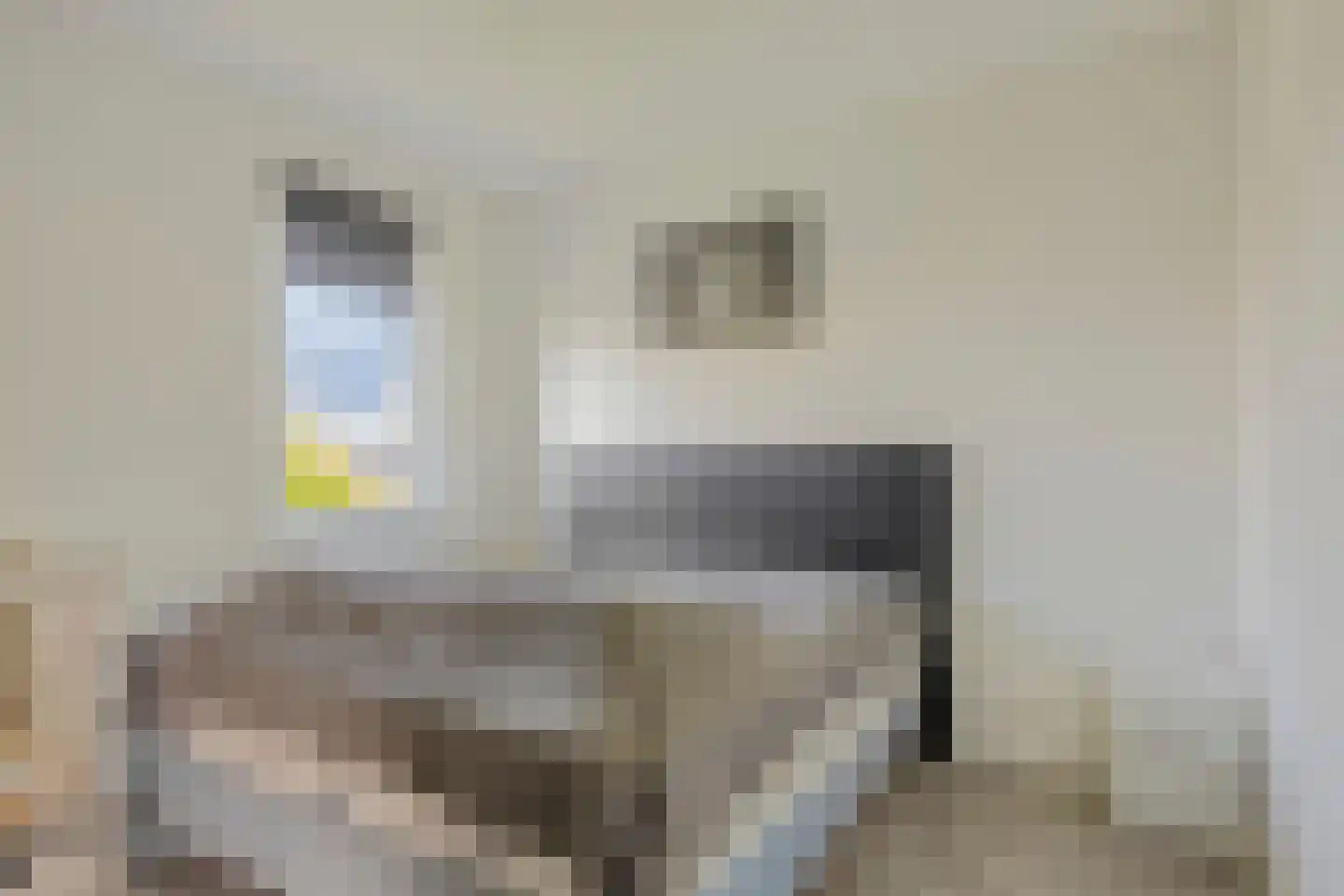 de Waterkuil 8 Ewijk thumbnail 15