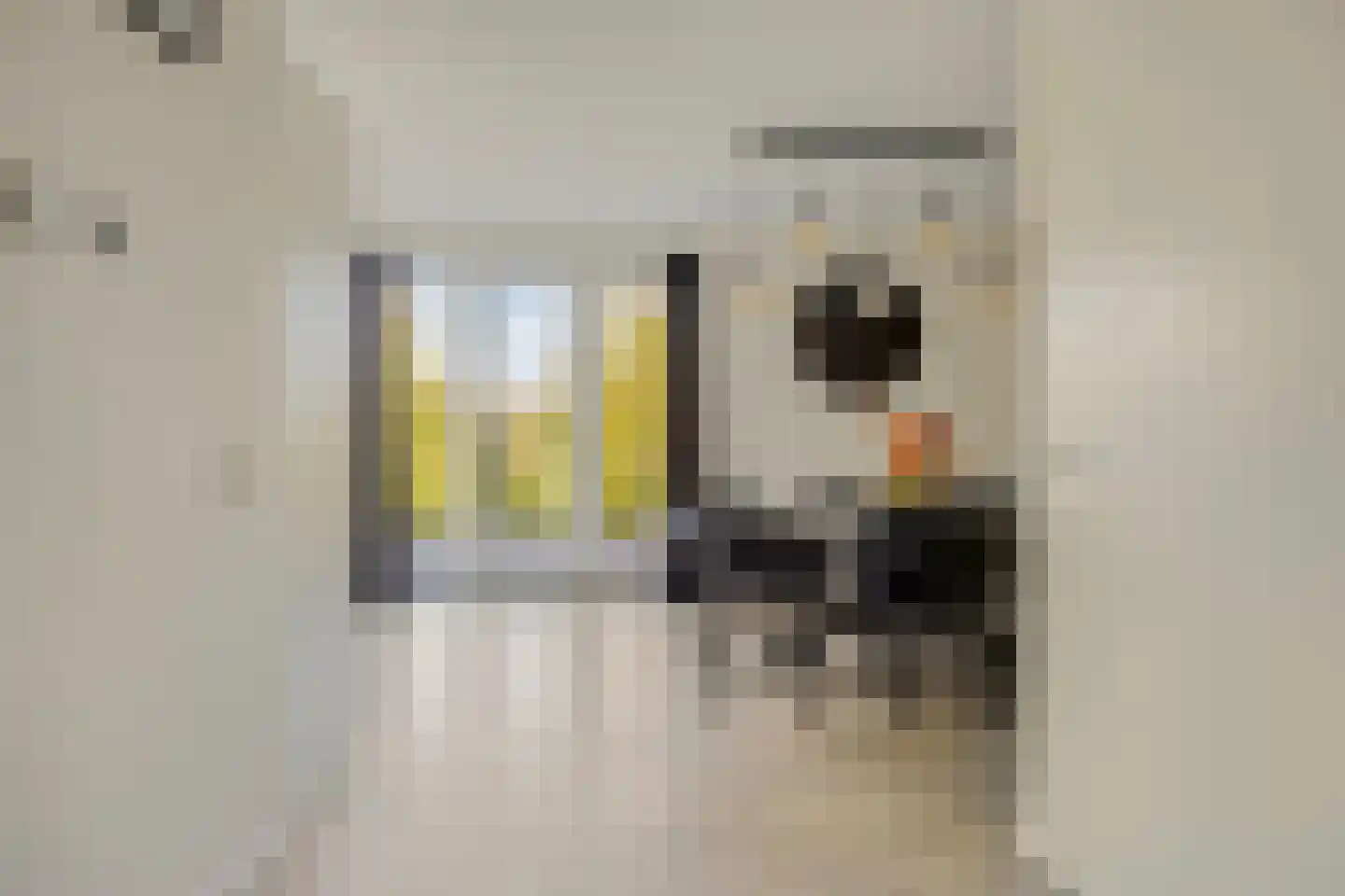 de Waterkuil 8 Ewijk thumbnail 7
