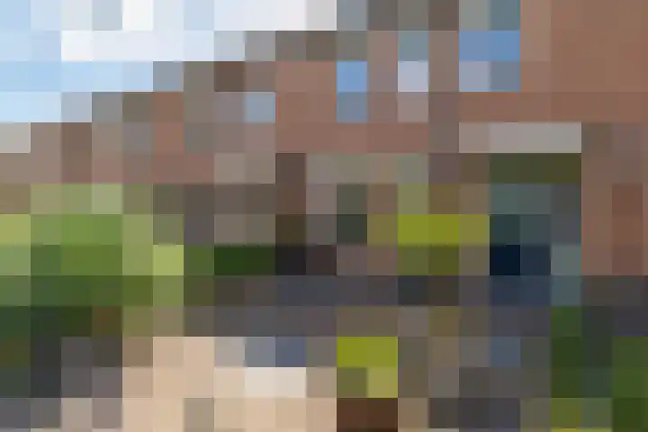De Waterlelie 9 Zwartsluis thumbnail 14