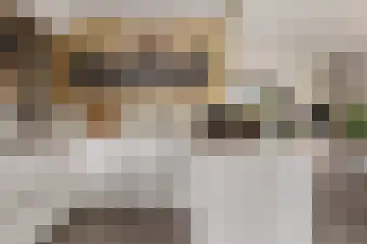 De Waterlelie 9 Zwartsluis thumbnail 20