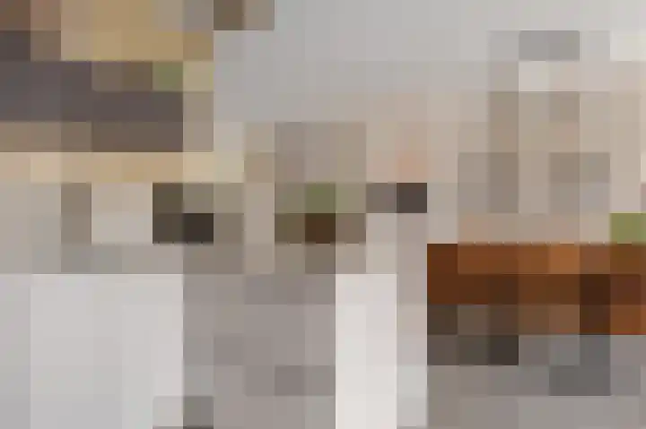 De Waterlelie 9 Zwartsluis thumbnail 21