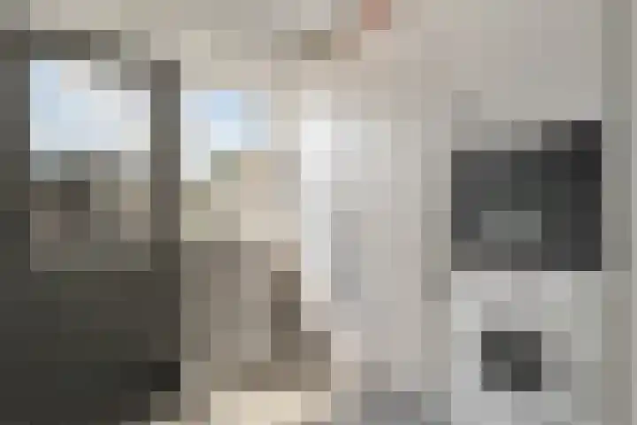 De Waterlelie 9 Zwartsluis thumbnail 24