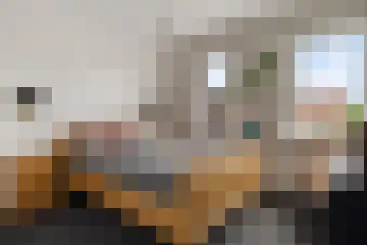 De Waterlelie 9 Zwartsluis thumbnail 32