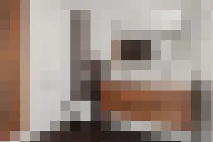 De Waterlelie 9 Zwartsluis thumbnail 36