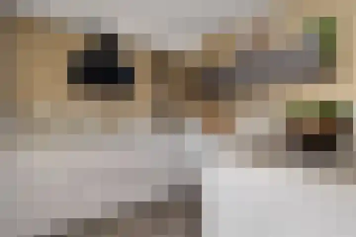 De Waterlelie 9 Zwartsluis thumbnail 4