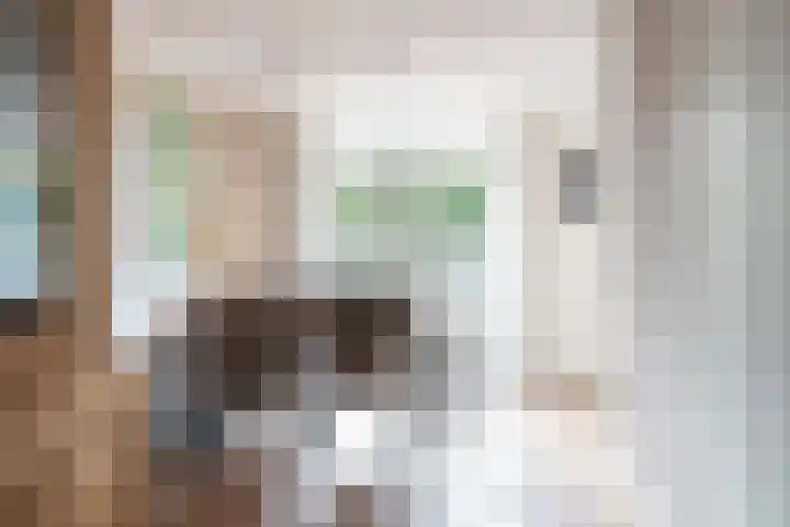 De Waterloop 4 Leerdam thumbnail 10