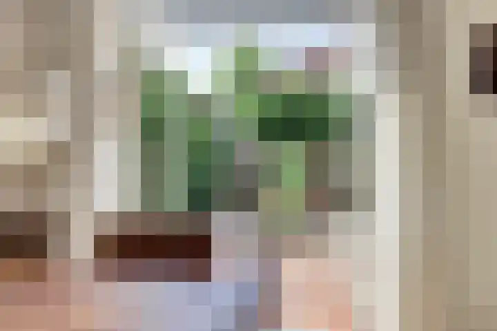 De Waterloop 4 Leerdam thumbnail 11