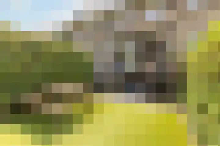 De Waterloop 4 Leerdam thumbnail 13