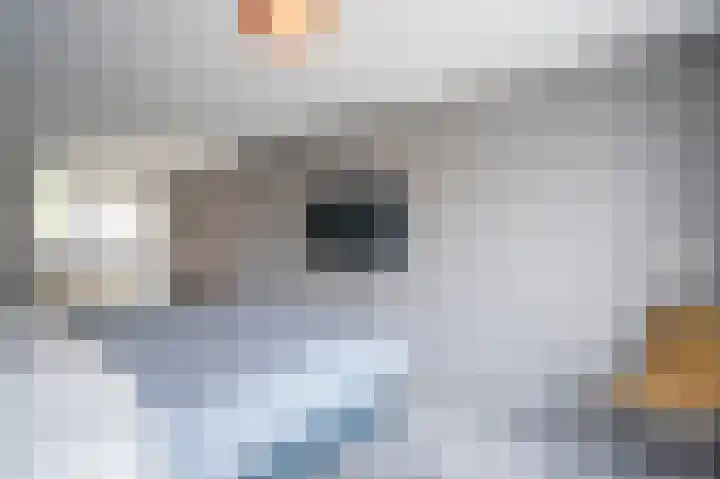 De Waterloop 4 Leerdam thumbnail 20