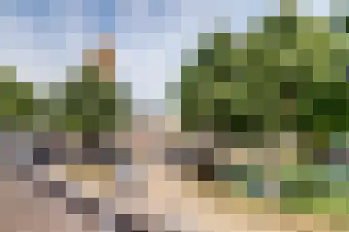 De Waterloop 4 Leerdam thumbnail 33