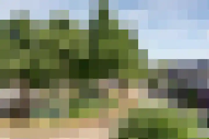 De Waterloop 4 Leerdam thumbnail 34