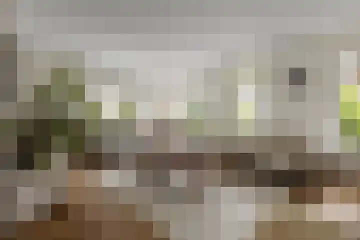 De Watermolen 7 Barneveld thumbnail 11