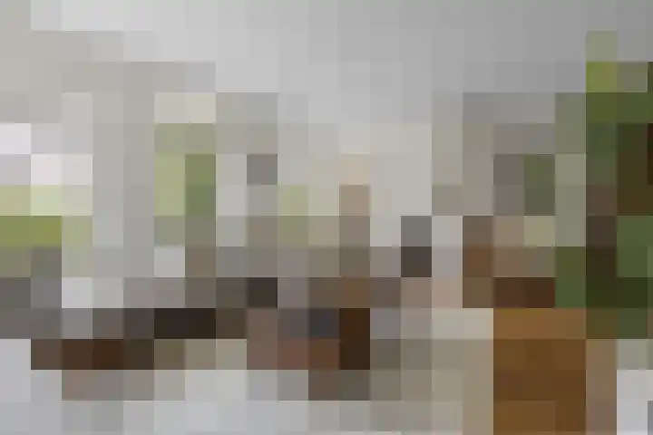 De Watermolen 7 Barneveld thumbnail 12