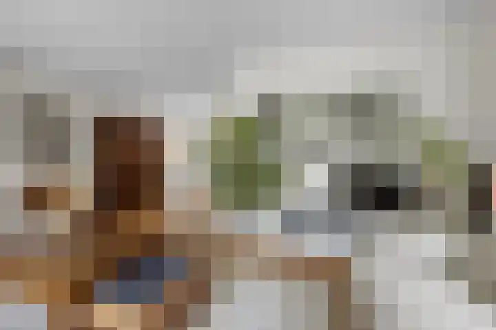 De Watermolen 7 Barneveld thumbnail 14