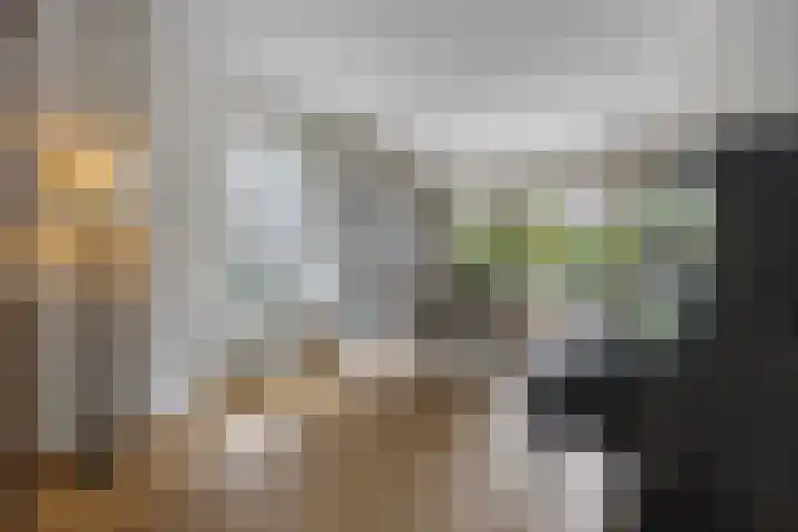 De Watermolen 7 Barneveld thumbnail 16
