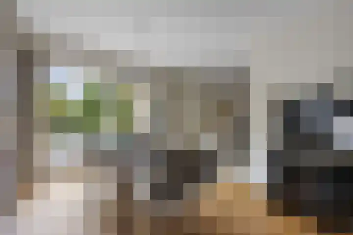 De Watermolen 7 Barneveld thumbnail 17