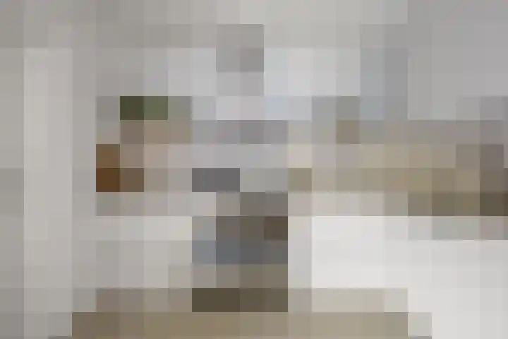 De Watermolen 7 Barneveld thumbnail 21