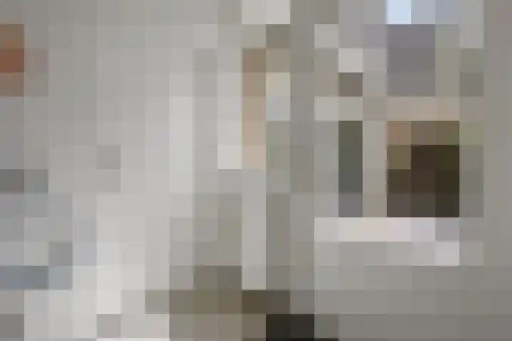 De Watermolen 7 Barneveld thumbnail 24