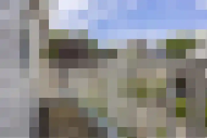 De Watermolen 7 Barneveld thumbnail 30