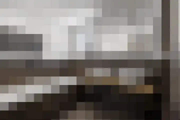 De Watermolen 7 Barneveld thumbnail 32