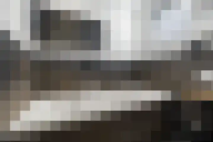 De Watermolen 7 Barneveld thumbnail 33