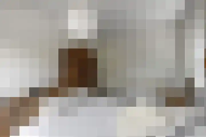 De Watermolen 7 Barneveld thumbnail 36