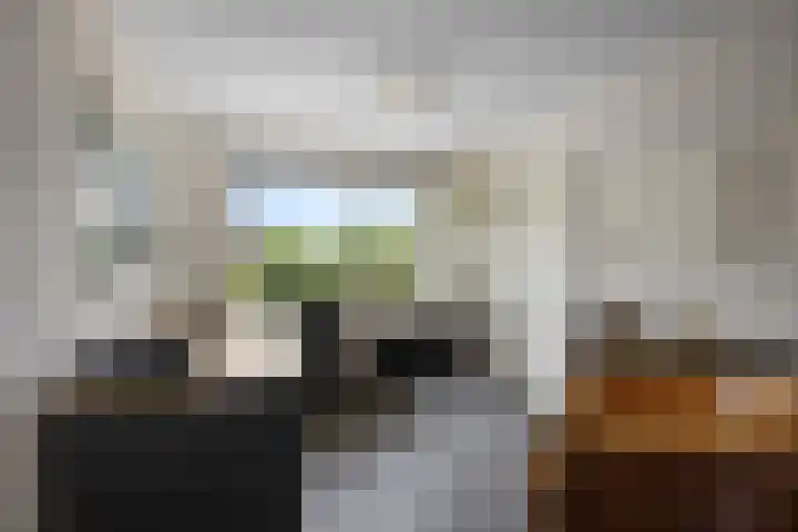 De Watermolen 7 Barneveld thumbnail 37