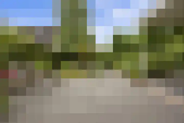 De Watermolen 7 Barneveld thumbnail 4