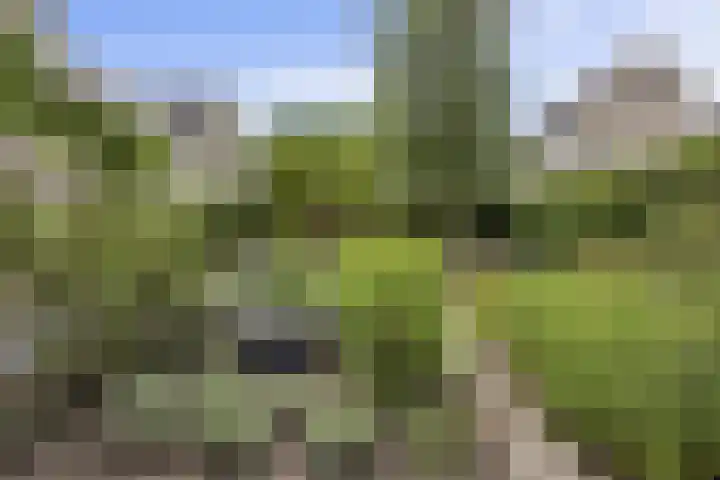 De Watermolen 7 Barneveld thumbnail 51