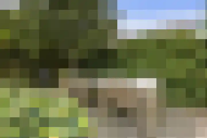 De Watermolen 7 Barneveld thumbnail 52