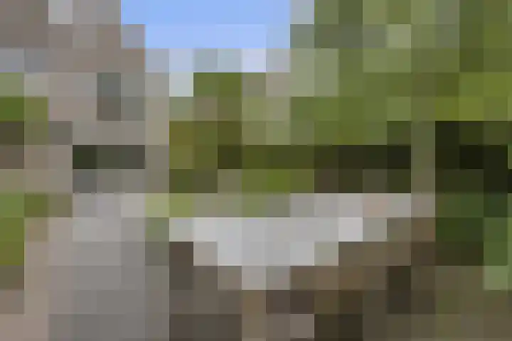 De Watermolen 7 Barneveld thumbnail 53