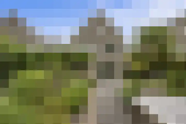 De Watermolen 7 Barneveld thumbnail 54