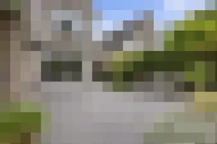 De Watermolen 7 Barneveld thumbnail 55