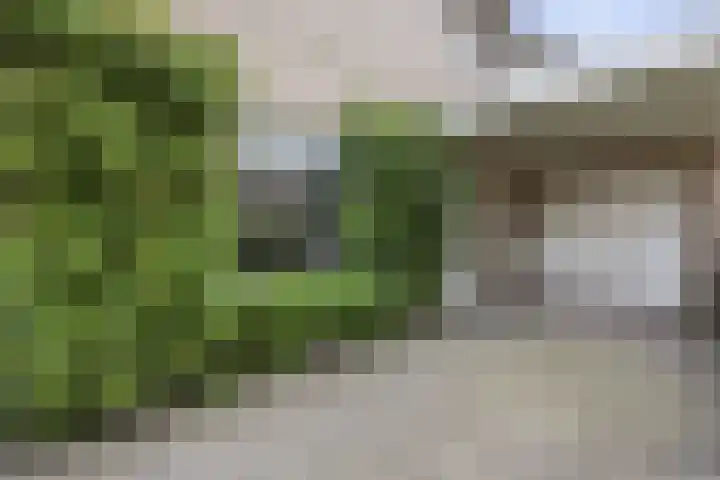 De Watermolen 7 Barneveld thumbnail 6