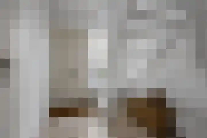 De Watermolen 7 Barneveld thumbnail 7