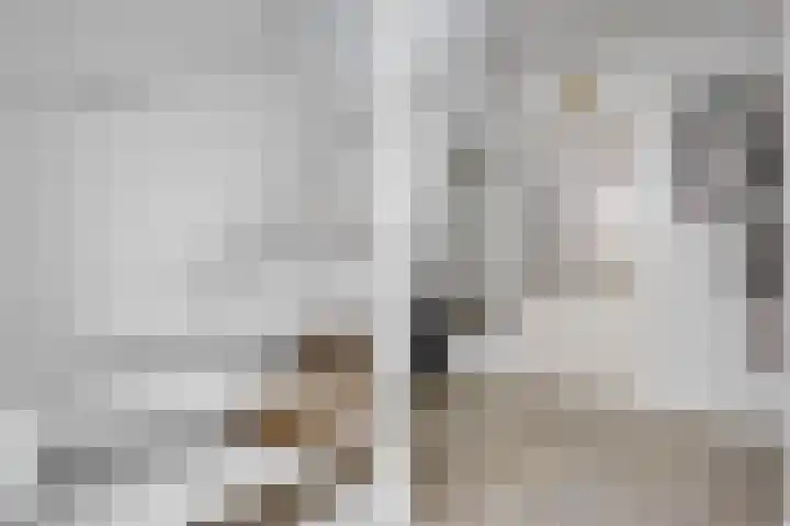 De Watermolen 7 Barneveld thumbnail 9