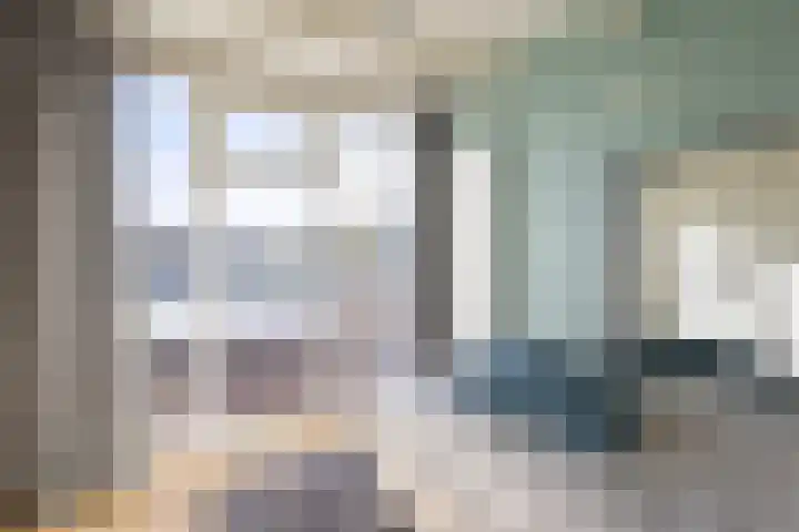 De Watersnip 16 Vriezenveen thumbnail 19