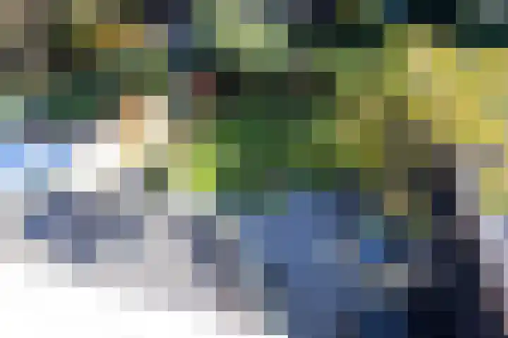 De Watersnip 16 Vriezenveen thumbnail 22