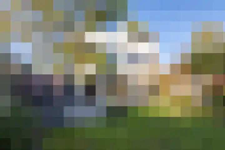 De Watersnip 16 Vriezenveen thumbnail 31