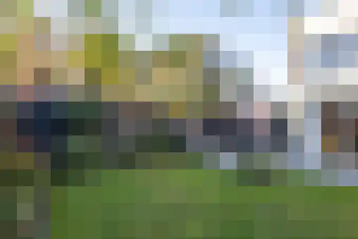De Watersnip 16 Vriezenveen thumbnail 32