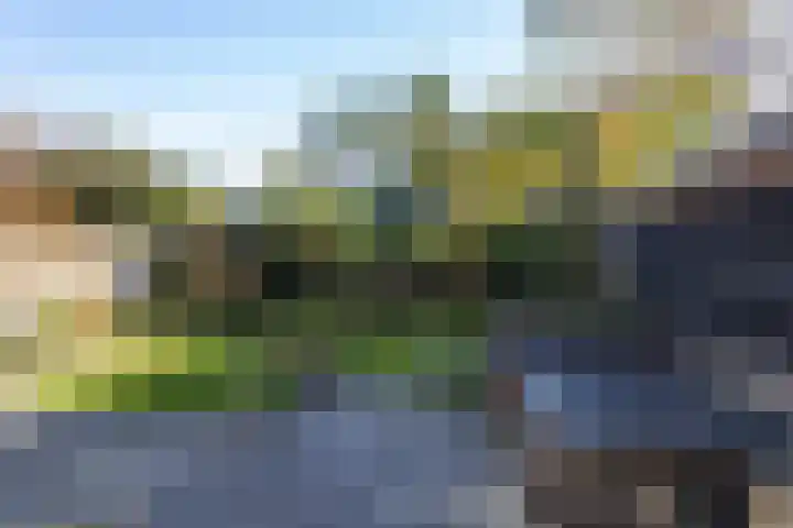 De Watersnip 16 Vriezenveen thumbnail 34