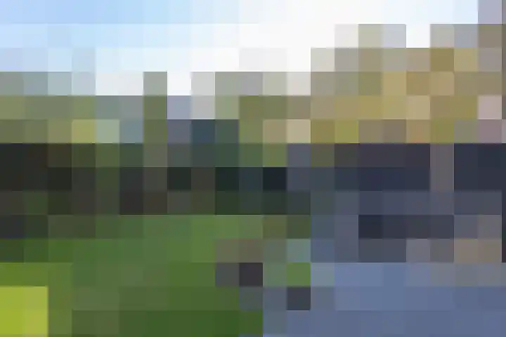 De Watersnip 16 Vriezenveen thumbnail 35