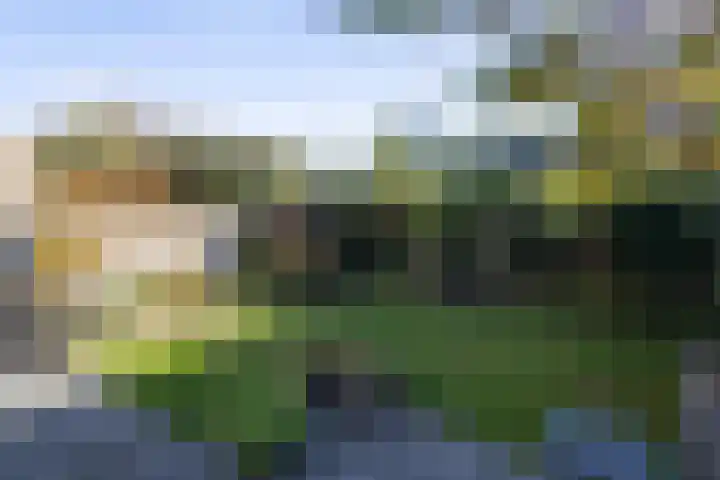 De Watersnip 16 Vriezenveen thumbnail 36