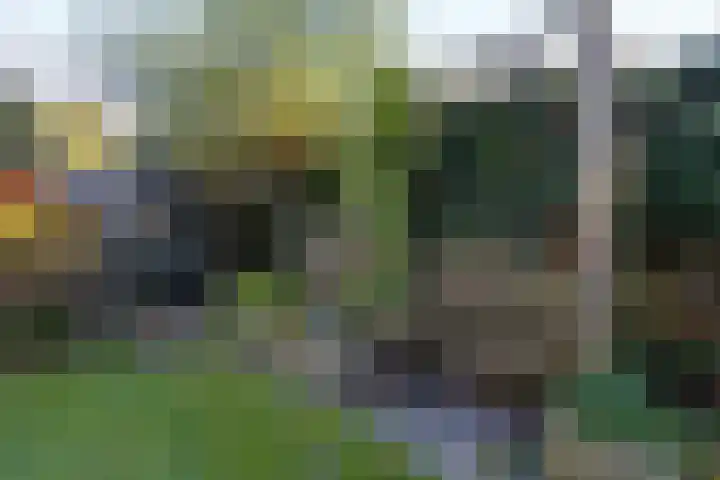 De Watersnip 16 Vriezenveen thumbnail 37