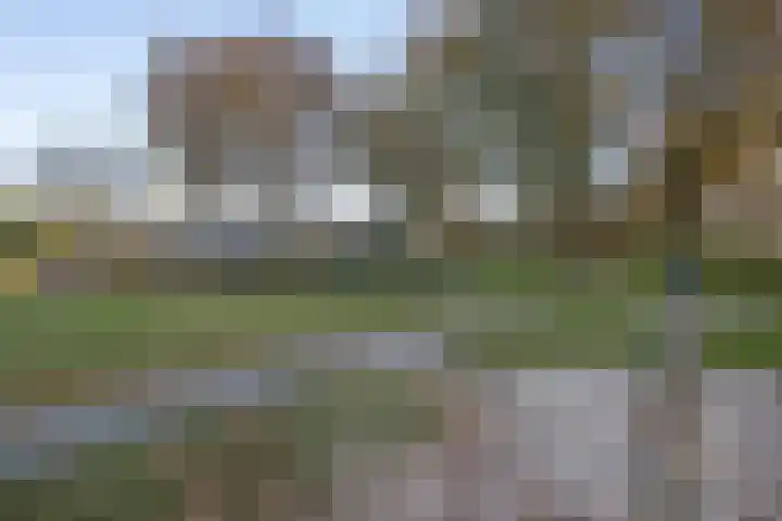 De Watersnip 16 Vriezenveen thumbnail 38