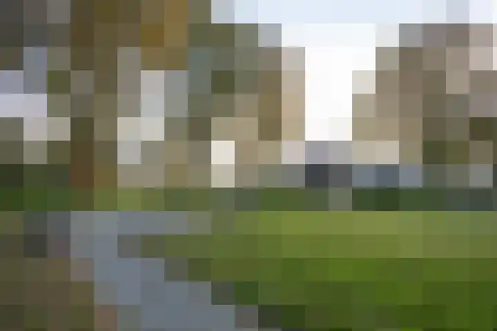 De Watersnip 16 Vriezenveen thumbnail 39