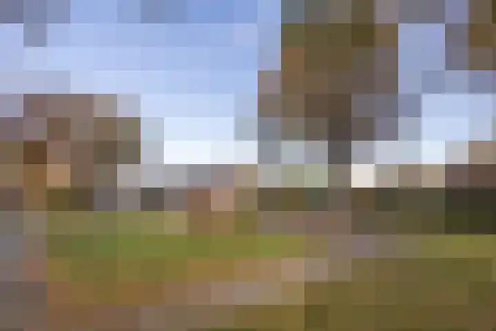 De Watersnip 16 Vriezenveen thumbnail 40