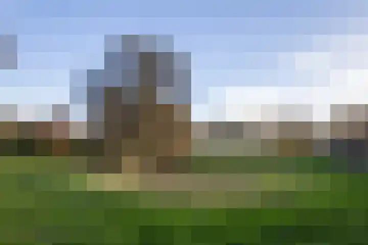 De Watersnip 16 Vriezenveen thumbnail 41